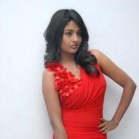 Amitha Rao Hot Photos at Chemistry Audio Launch Function | Picture 365625