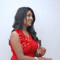 Amitha Rao Hot Photos at Chemistry Audio Launch Function | Picture 365637