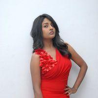 Amitha Rao Hot Photos at Chemistry Audio Launch Function | Picture 365646