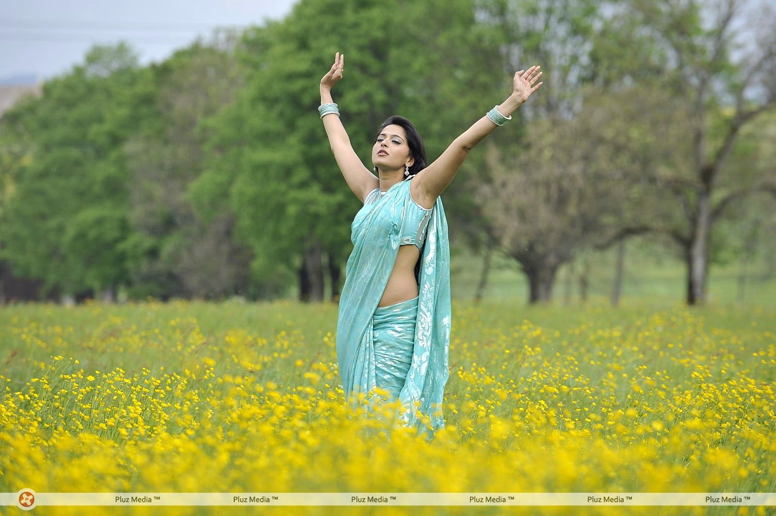 Anushka Saree Hot Stills | Picture 368506