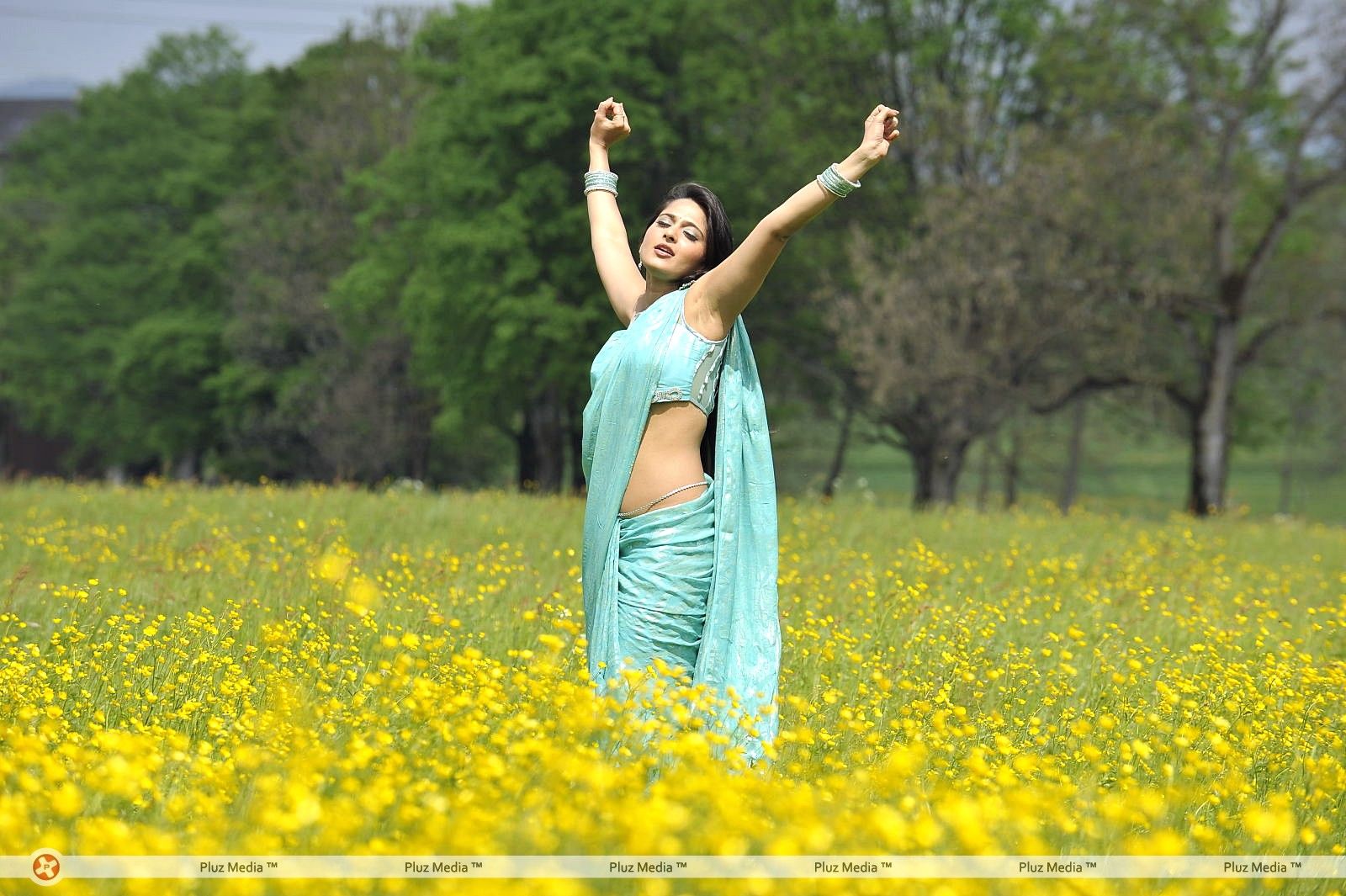 Anushka Saree Hot Stills | Picture 368522