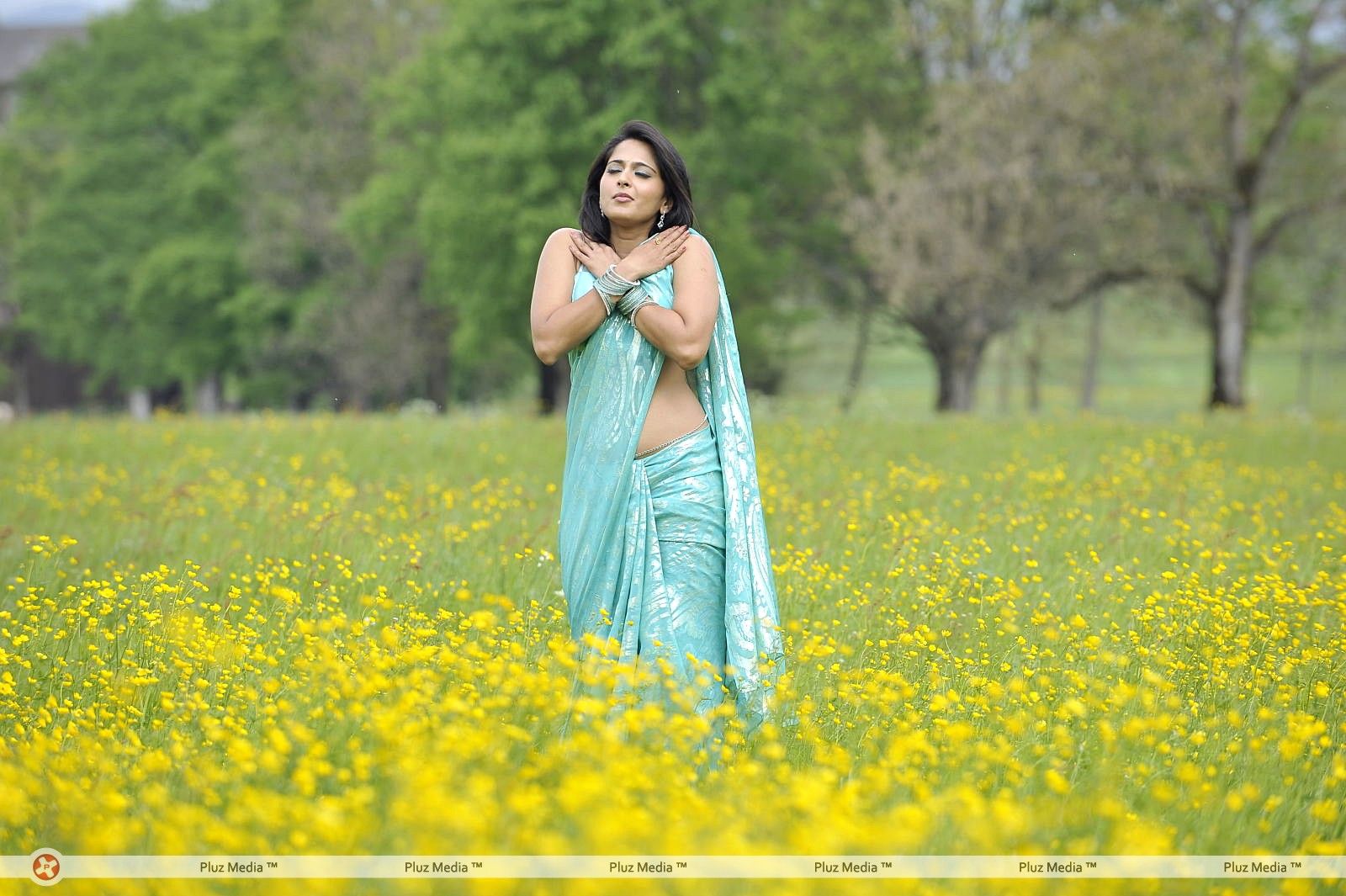 Anushka Saree Hot Stills | Picture 368532