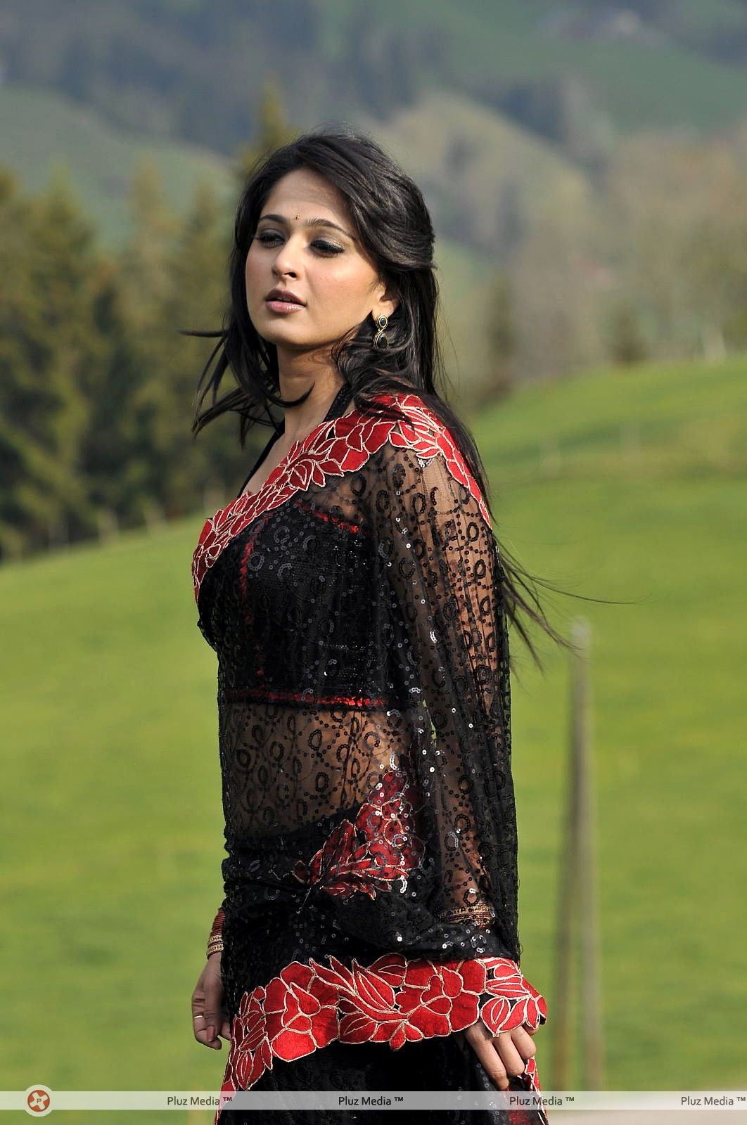 Anushka Saree Hot Stills | Picture 368541