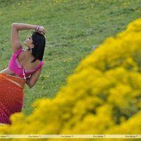 Anushka Saree Hot Stills | Picture 368500
