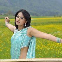 Anushka Saree Hot Stills | Picture 368510