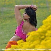 Anushka Saree Hot Stills | Picture 368511