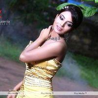 Shilpi Shukla Hot Photo Shoot Stills | Picture 371965