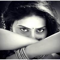 Sri Sudha Hot Photoshoot Stills | Picture 500174