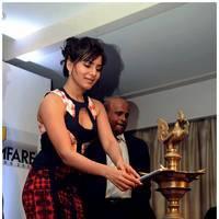 Samantha Ruth Prabhu - Filmfare Awards 2013 Announcement Photos | Picture 501295