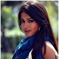 Catherine Tresa Cute Images From Iddarammayilatho Movie | Picture 502117