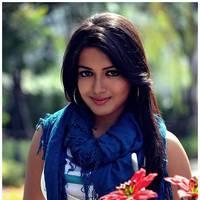 Catherine Tresa Cute Images From Iddarammayilatho Movie | Picture 502126