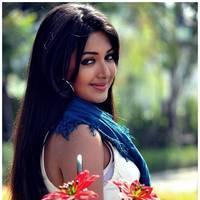 Catherine Tresa Cute Images From Iddarammayilatho Movie | Picture 502128