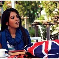 Catherine Tresa Cute Images From Iddarammayilatho Movie | Picture 502133