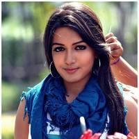 Catherine Tresa Cute Images From Iddarammayilatho Movie | Picture 502139
