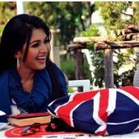 Catherine Tresa Cute Images From Iddarammayilatho Movie | Picture 502147