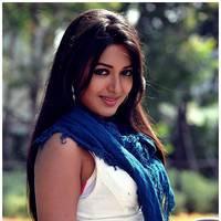 Catherine Tresa Cute Images From Iddarammayilatho Movie | Picture 502169