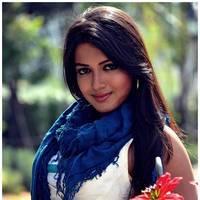 Catherine Tresa Cute Images From Iddarammayilatho Movie | Picture 502177