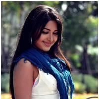 Catherine Tresa Cute Images From Iddarammayilatho Movie | Picture 502181