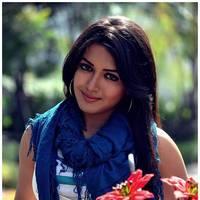 Catherine Tresa Cute Images From Iddarammayilatho Movie | Picture 502189
