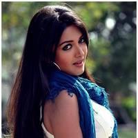 Catherine Tresa Cute Images From Iddarammayilatho Movie | Picture 502199