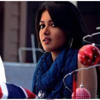 Catherine Tresa Cute Images From Iddarammayilatho Movie | Picture 502200