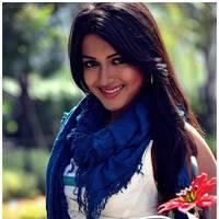 Catherine Tresa Cute Images From Iddarammayilatho Movie | Picture 502206
