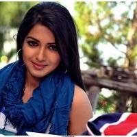 Catherine Tresa Cute Images From Iddarammayilatho Movie | Picture 502211