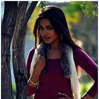 Catherine Tresa Latest Hot Pictures from Iddarammayilatho Movie | Picture 504339