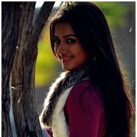 Catherine Tresa Latest Hot Pictures from Iddarammayilatho Movie | Picture 504341