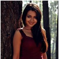 Catherine Tresa Latest Hot Pictures from Iddarammayilatho Movie | Picture 504185