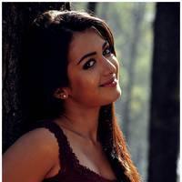 Catherine Tresa Latest Hot Pictures from Iddarammayilatho Movie | Picture 504187