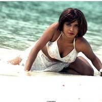 Meghna Patel New Spicy Photos | Picture 504694