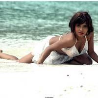 Meghna Patel New Spicy Photos | Picture 504701
