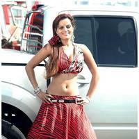 Meghna Patel New Spicy Photos | Picture 504721