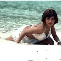 Meghna Patel New Spicy Photos | Picture 504730
