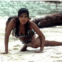 Meghna Patel New Spicy Photos | Picture 504604