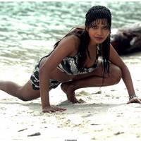 Meghna Patel New Spicy Photos | Picture 504607