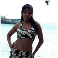 Meghna Patel New Spicy Photos | Picture 504610
