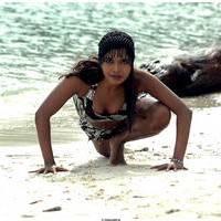 Meghna Patel New Spicy Photos | Picture 504621