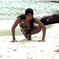 Meghna Patel New Spicy Photos | Picture 504622