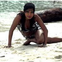 Meghna Patel New Spicy Photos | Picture 504632