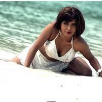 Meghna Patel New Spicy Photos | Picture 504634