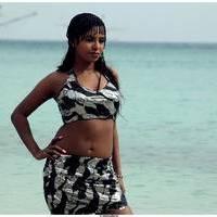 Meghna Patel New Spicy Photos | Picture 504636