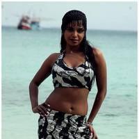Meghna Patel New Spicy Photos | Picture 504644