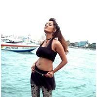 Meghna Patel New Spicy Photos | Picture 504654