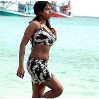 Meghna Patel New Spicy Photos | Picture 504662