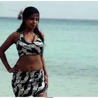 Meghna Patel New Spicy Photos | Picture 504666
