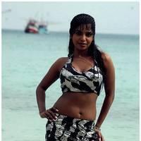 Meghna Patel New Spicy Photos | Picture 504669