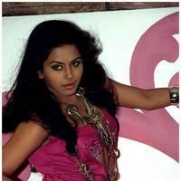 Rachana Mourya Hot Photos in Vijetha Movie | Picture 505389