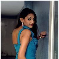 Divya Jadev Hot Images at Namaste Movie Opening | Picture 506048